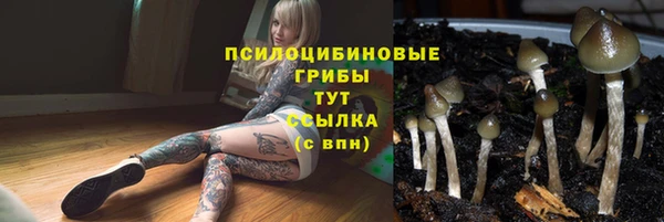 героин Богородицк